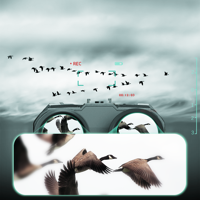 Vogelbeobachtung und Aufnahmefunktion